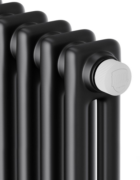 Стальной трубчатый радиатор Royal Thermo Insignia C2180 8 сек (Боковое подключение) черный RAL 9005 Стальной трубчатый радиатор Royal Thermo Insignia C2180 8 сек (Боковое подключение) черный RAL 9005