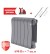 Биметаллический радиатор Royal Thermo Infinity 300 6 сек. боковое подключение (Silver Satin)