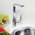 Wasserkraft Neime 1907 Смеситель для кухни (хром)