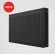 Радиатор стальной панельный Royal Thermo Compact C22 - Черный Noir Sable 300 мм (боковое подключение)
