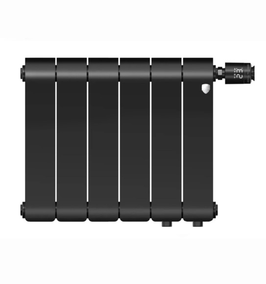 Биметаллический радиатор Royal Thermo Infinity 300 6 сек. VR80 нижнее 80 мм подключение (Noir Sable)