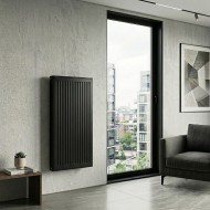 Радиатор стальной панельный Royal Thermo Compact C22 - Черный Noir Sable 900 мм (боковое подключение)